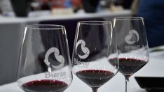 DO Bierzo