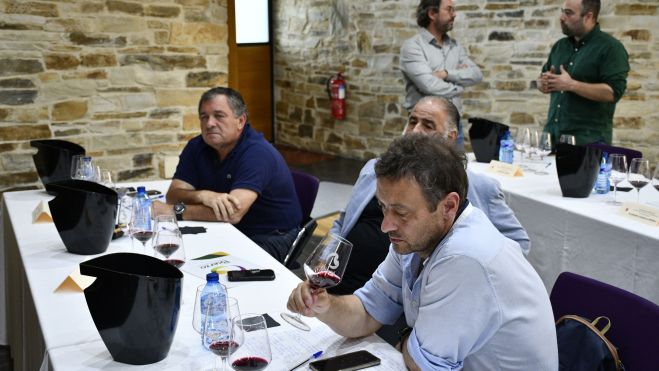 Añada DO Bierzo 2022, excelente (9) Añada DO Bierzo 2022, excelente (9)