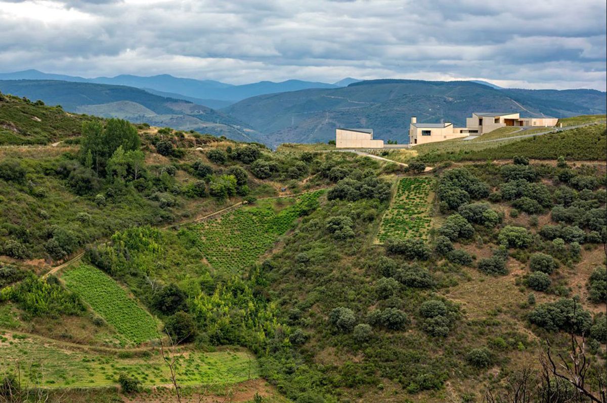 investigacion vinicola ule ponferrada investigacion vinicola ule ponferrada