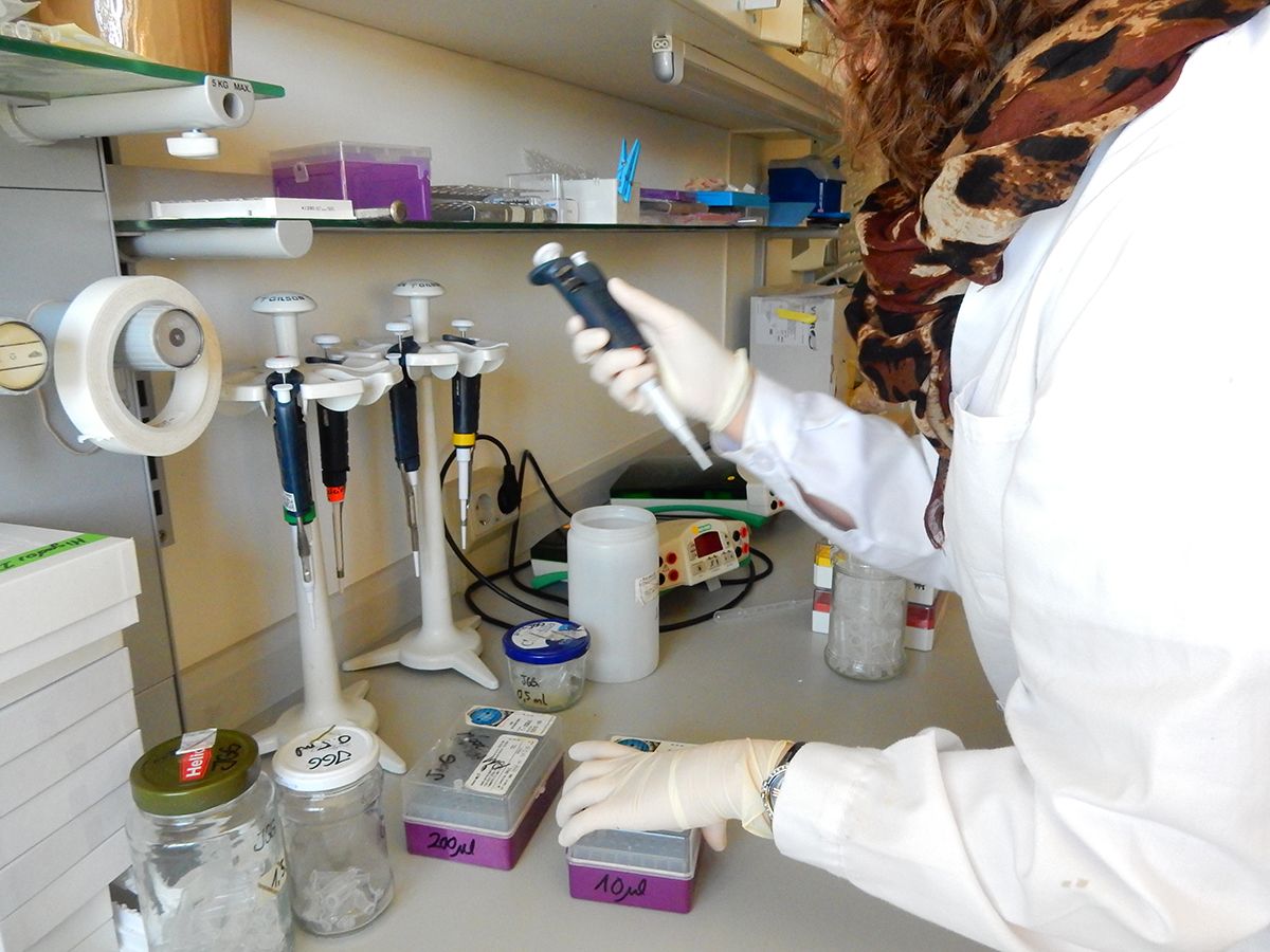 QS World University Rankings 2024 universidad de leon