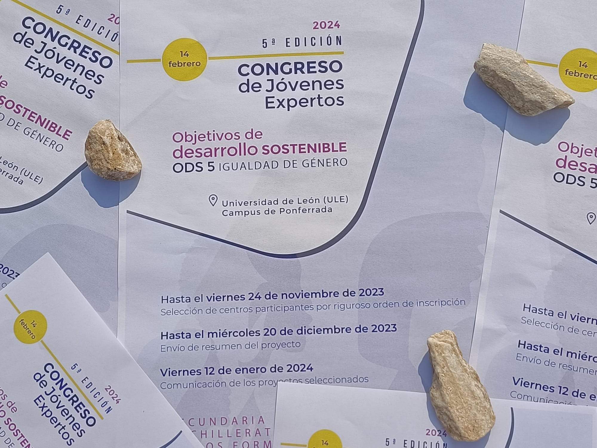 Quinta edición del Congreso de Jóvenes Expertos (2) Quinta edición del Congreso de Jóvenes Expertos (2)