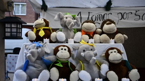 Mercado Templario (5)