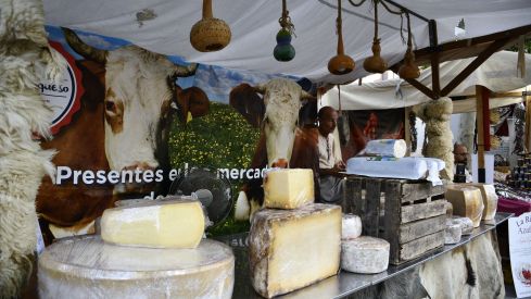 Mercado Templario (16)