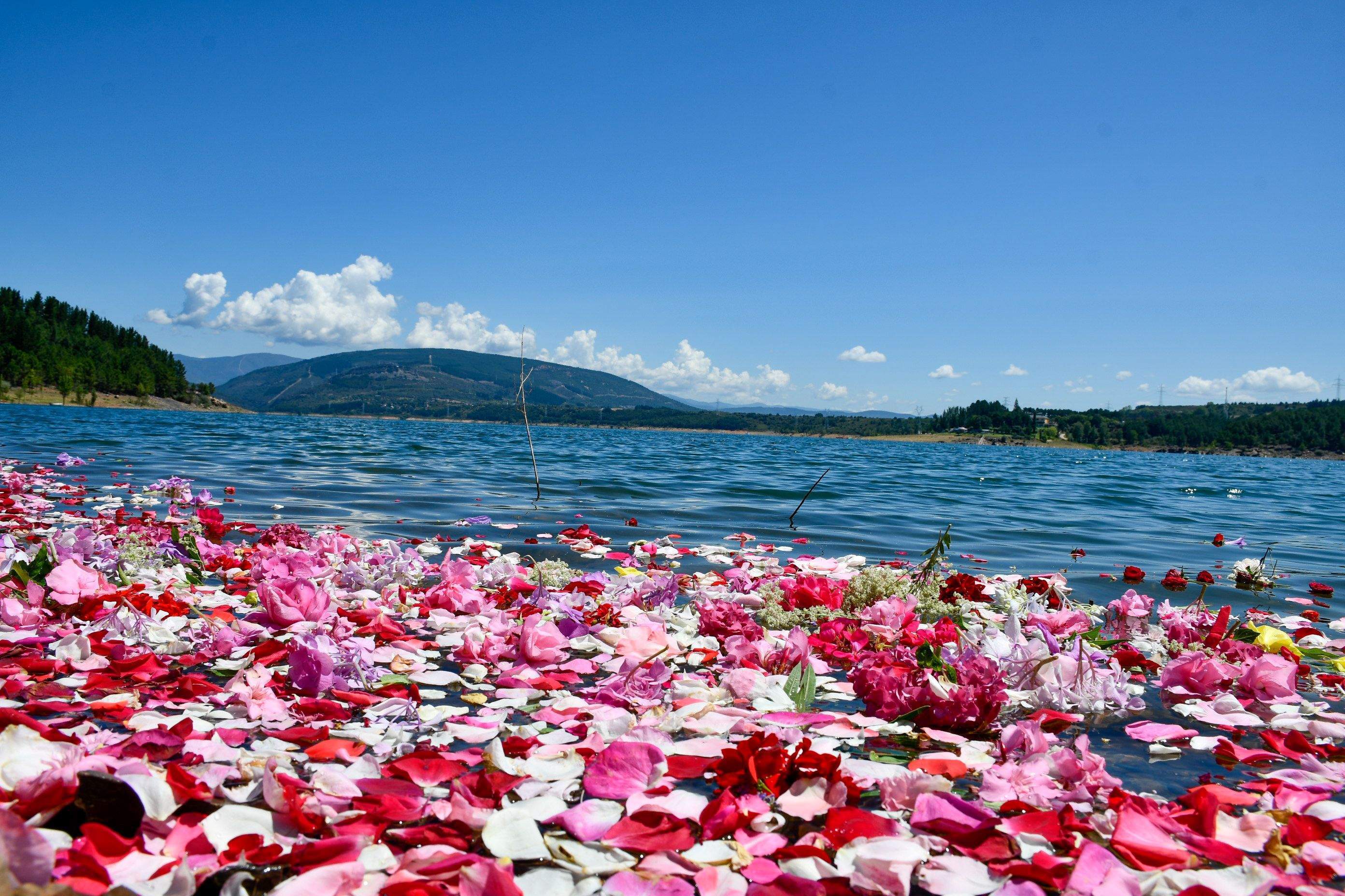 Ofrenda romeros del Bierzo (1)