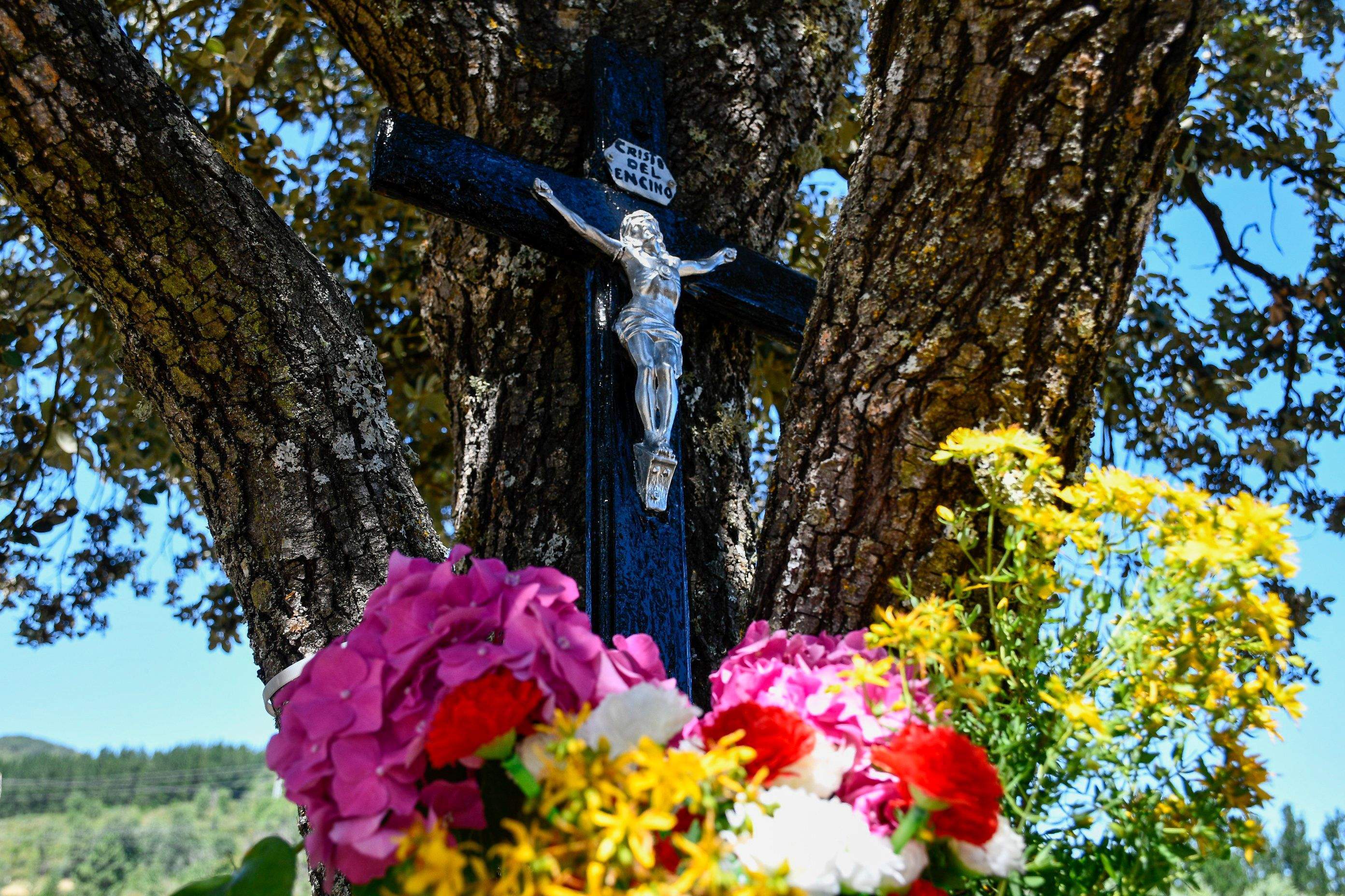 Ofrenda romeros del Bierzo (52) Ofrenda romeros del Bierzo (52)