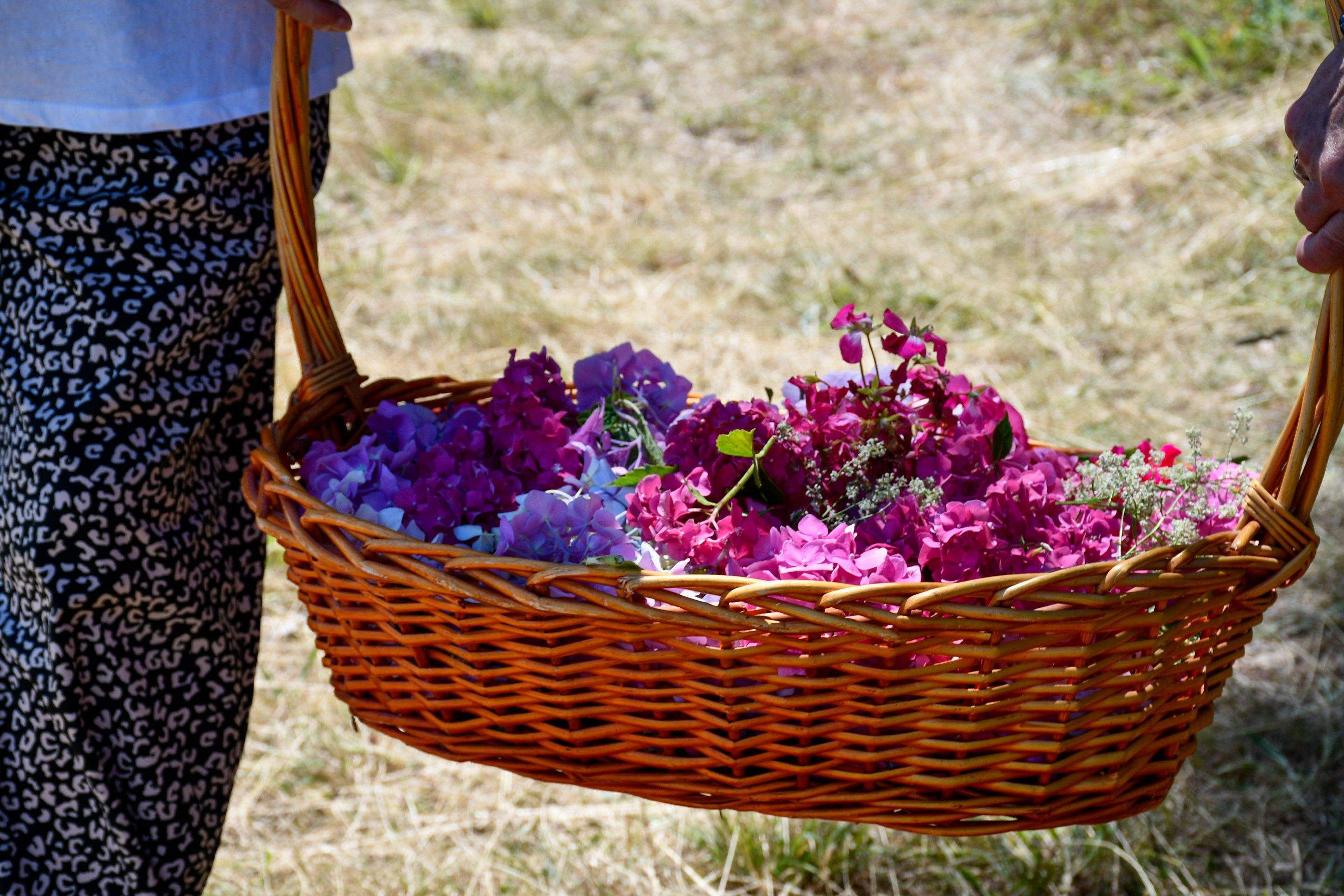 Ofrenda romeros del Bierzo (59) Ofrenda romeros del Bierzo (59)