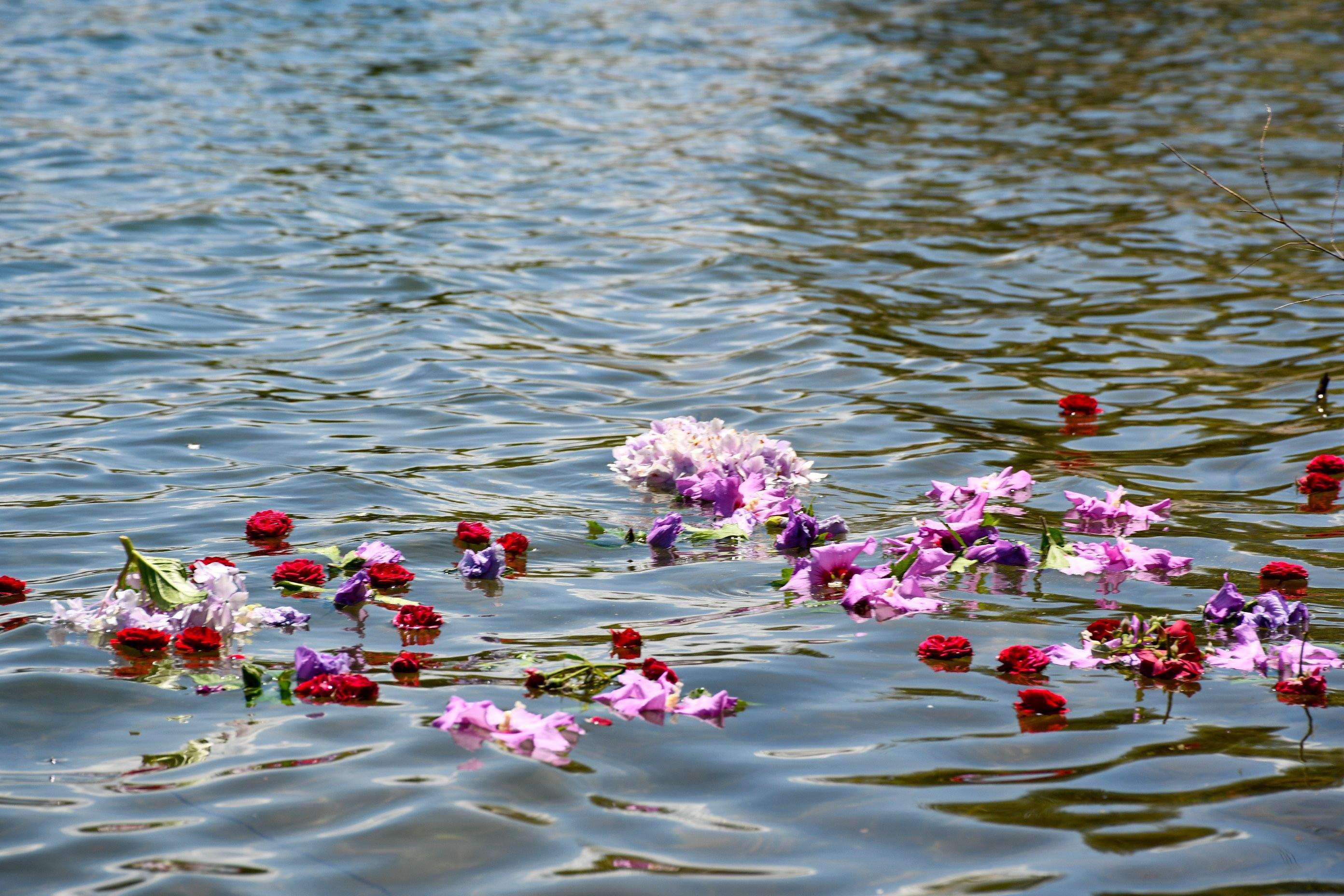 Ofrenda romeros del Bierzo (89) Ofrenda romeros del Bierzo (89)