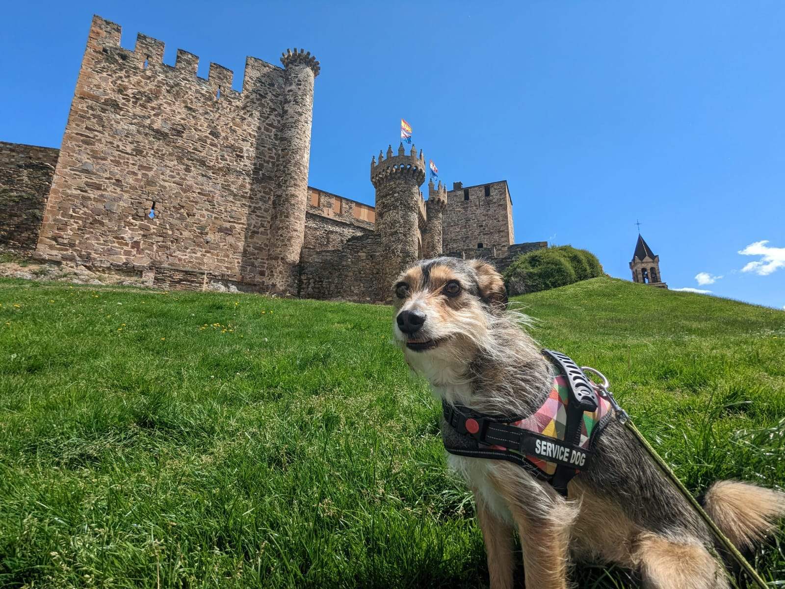 El Bierzo dogfriendly