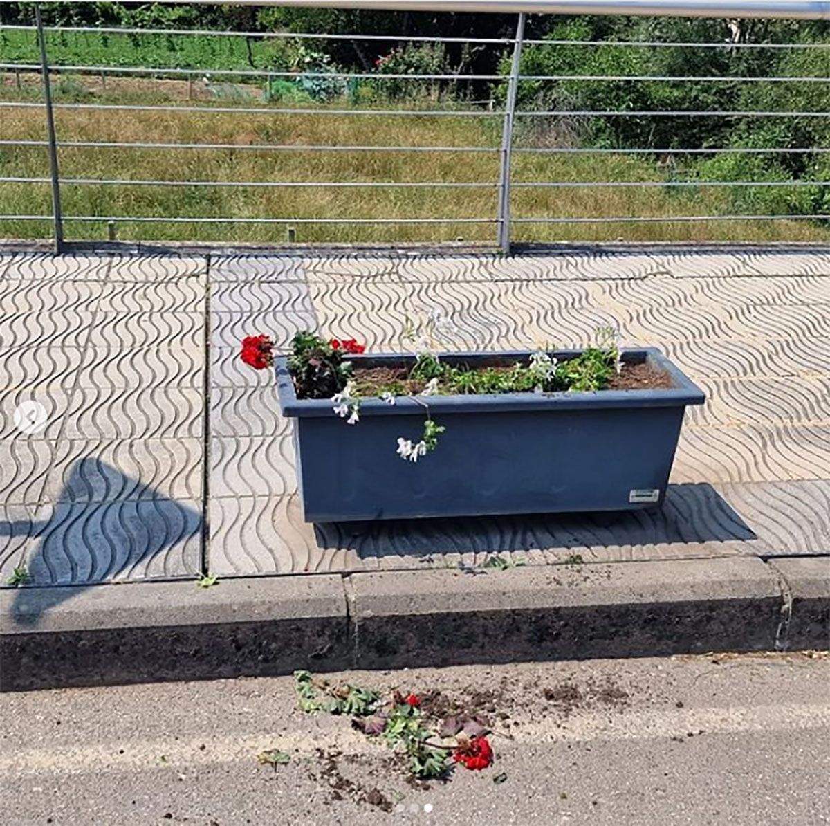 vega de espianreda 1200 vega de espianreda 1200