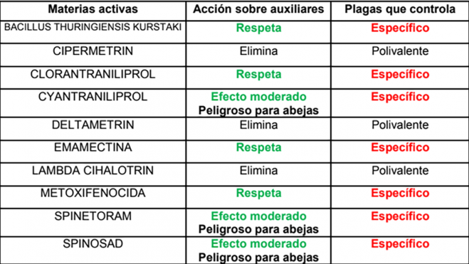 Plaga Pimiento del Bierzo