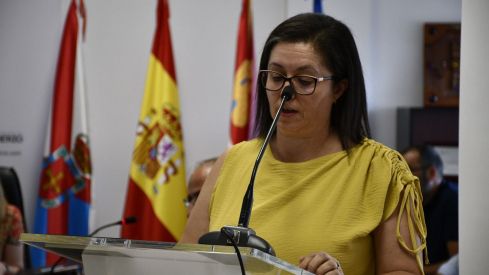 Pleno de constitución del Consejo del Bierzo y elección de Olegario Ramón como presidente