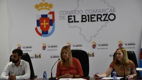 Pleno de constitución del Consejo del Bierzo y elección de Olegario Ramón como presidente