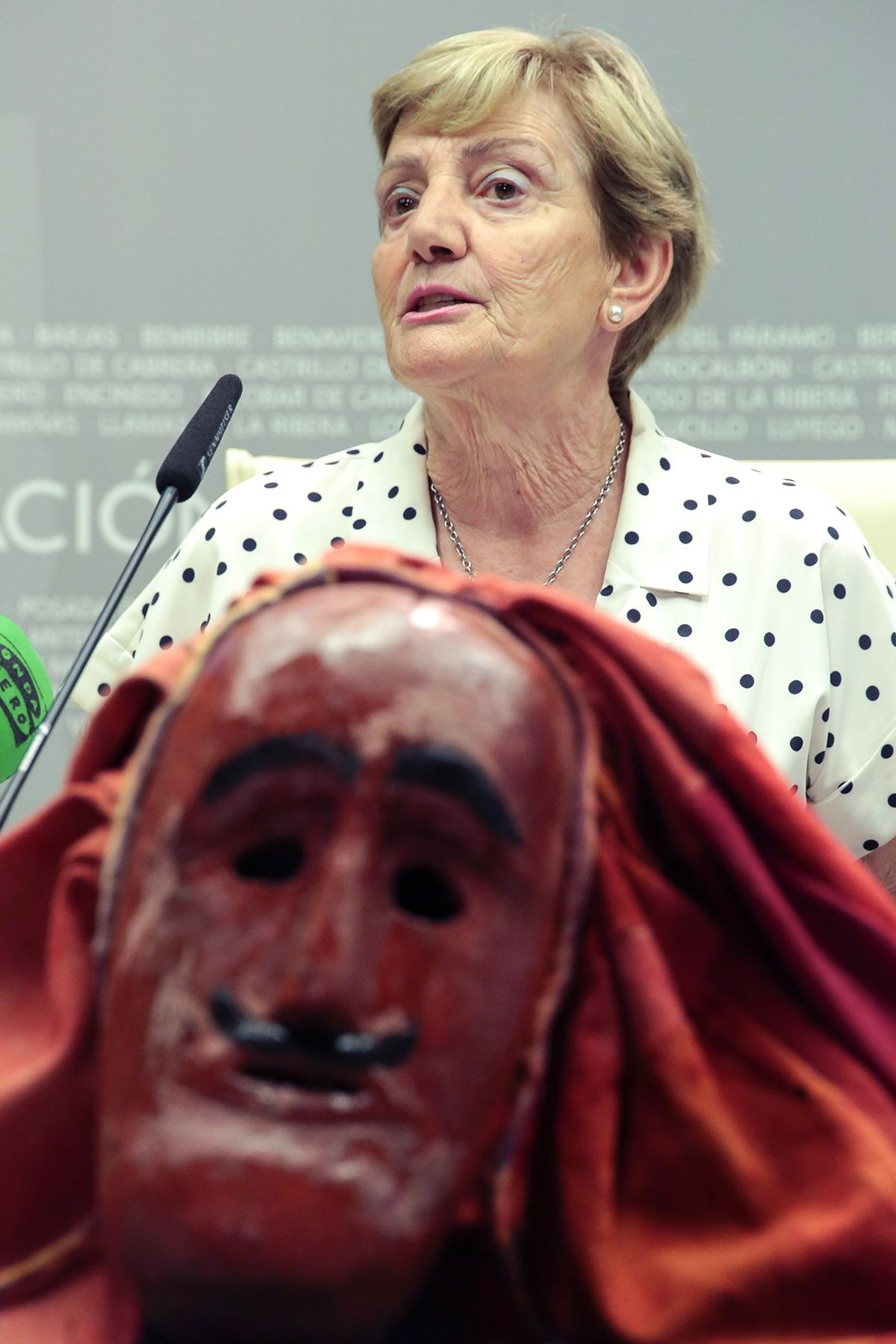 MASCARADAS LEON 1 MASCARADAS LEON 1