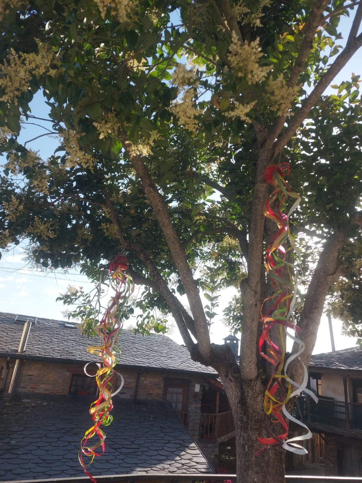 DECORACIÓN RECICLADA