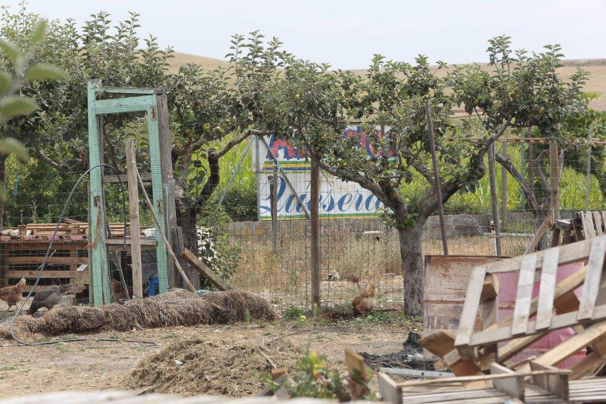 Localizan en Reliegos (Léon) el cadáver de una mujer 11 Localizan en Reliegos (Léon) el cadáver de una mujer 11