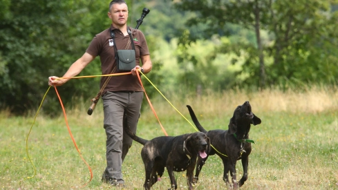 Perros de adiestramiento para el aviso de la presencia del oso en Tejedo del Sil (2) Perros de adiestramiento para el aviso de la presencia del oso en Tejedo del Sil (2)
