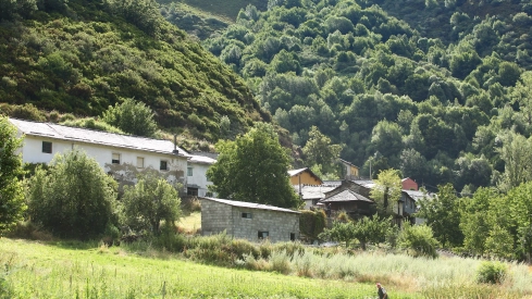 Tejedo del Sil Tejedo del Sil