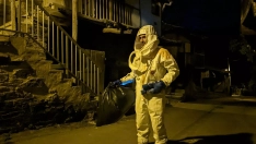 Bombero carga la bolsa con el nido de avispa asiática