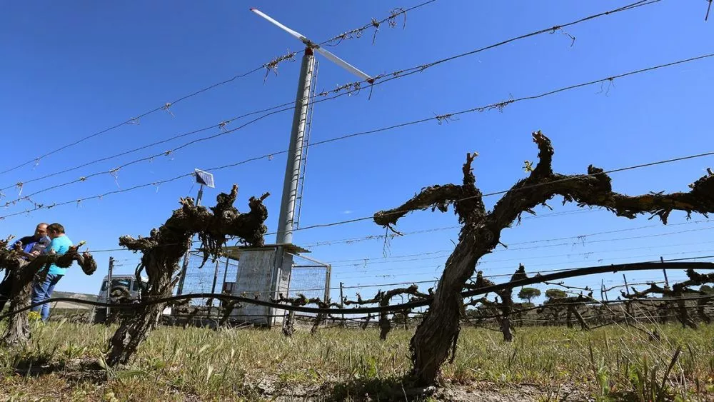 torres antiheladas 4 1000x563 torres antiheladas 4 1000x563