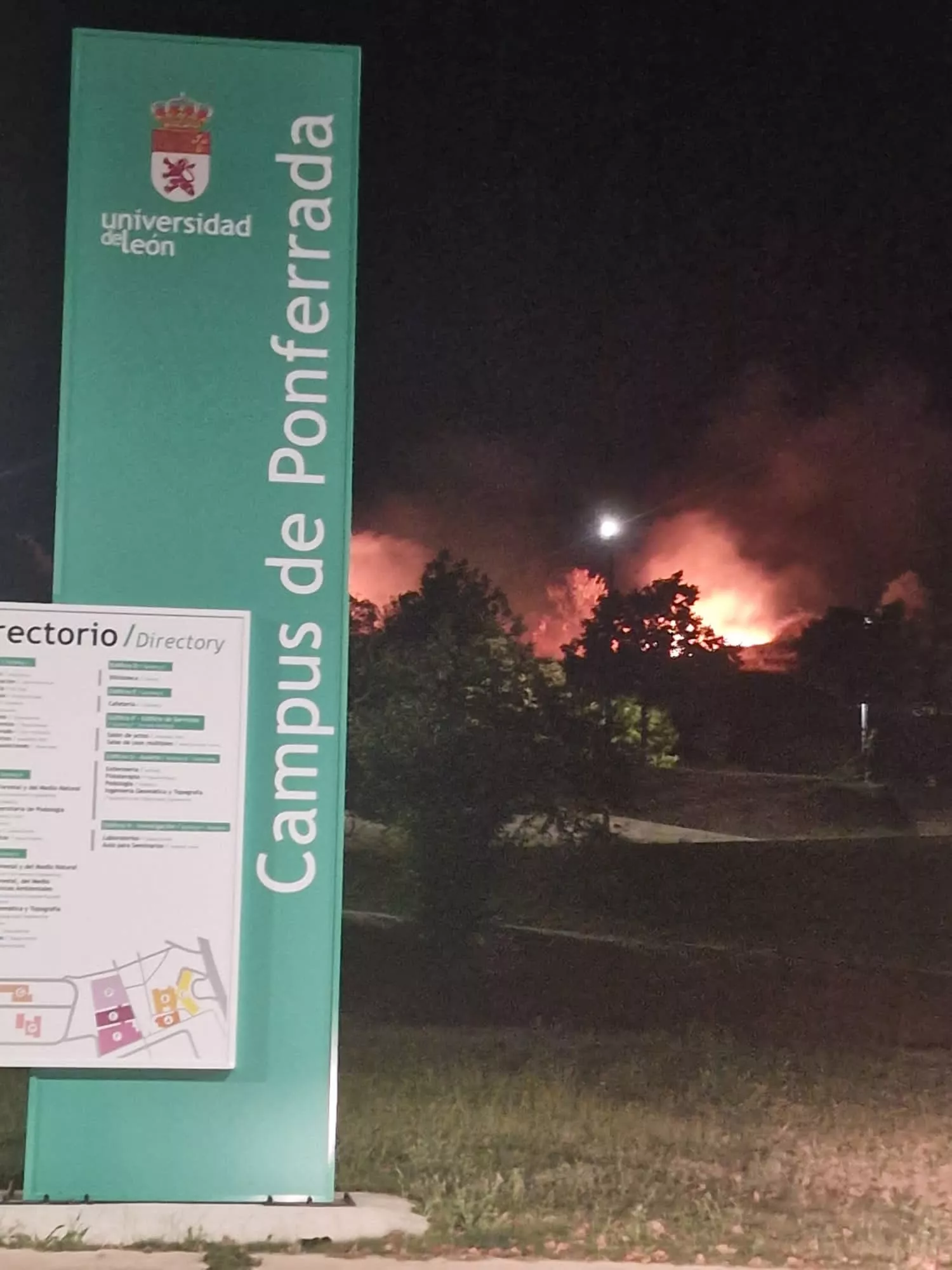 WhatsApp Image 2023 08 10 at 00.06.06