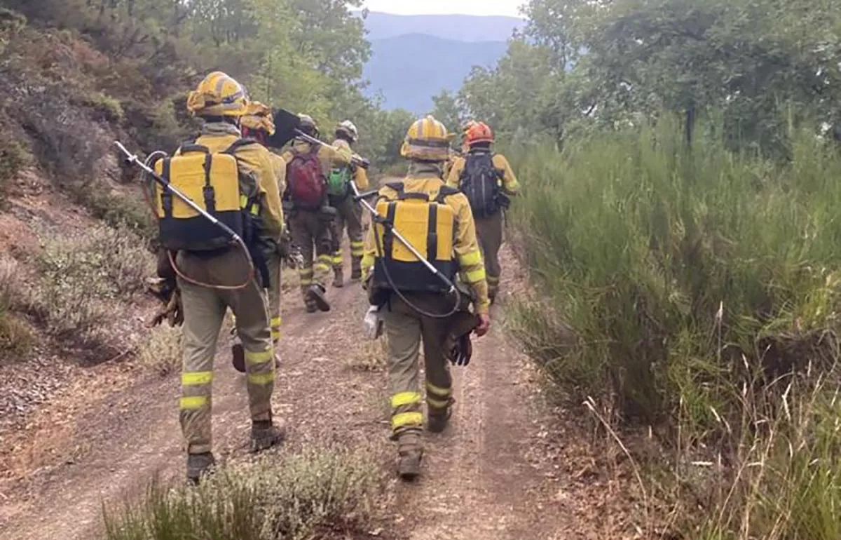Imagen de archivo de bomberos forestales trabajando en un incendio Imagen de archivo de bomberos forestales trabajando en un incendio