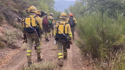 Imagen de archivo de bomberos forestales trabajando en un incendio