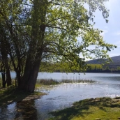 Imagen del lago de Carucedo