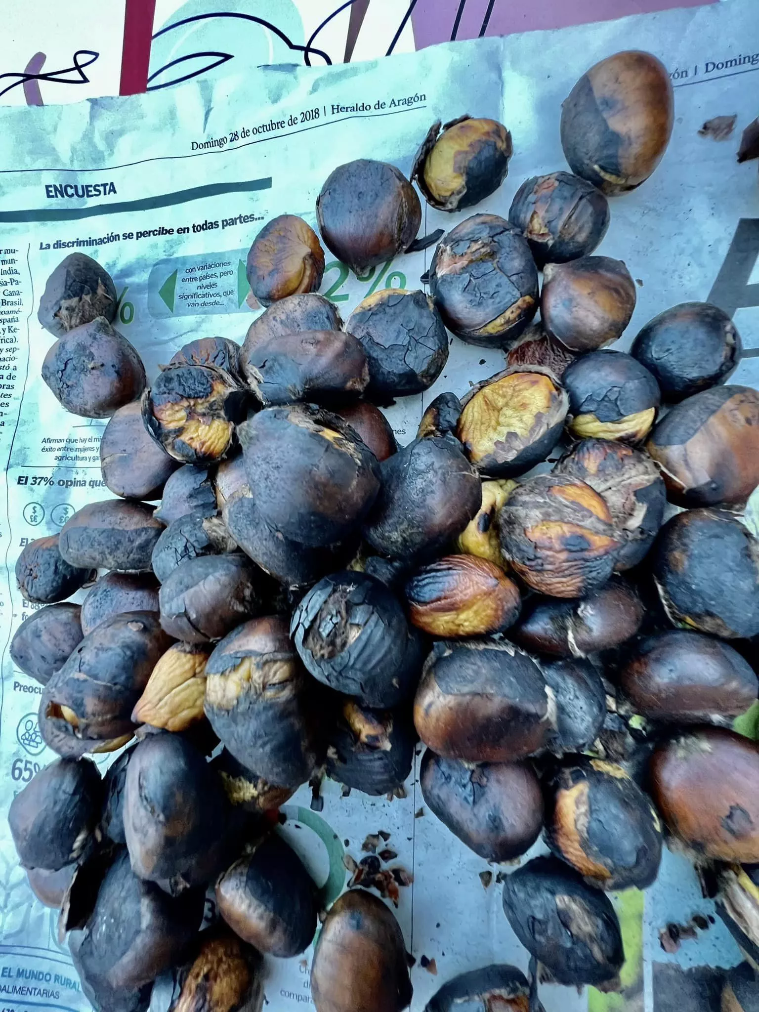 366373095 7325808587435214 7939197538428354969 n 366373095 7325808587435214 7939197538428354969 n