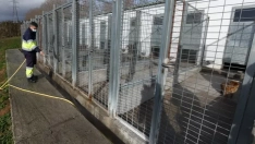 Albergue canino de Ponferrada