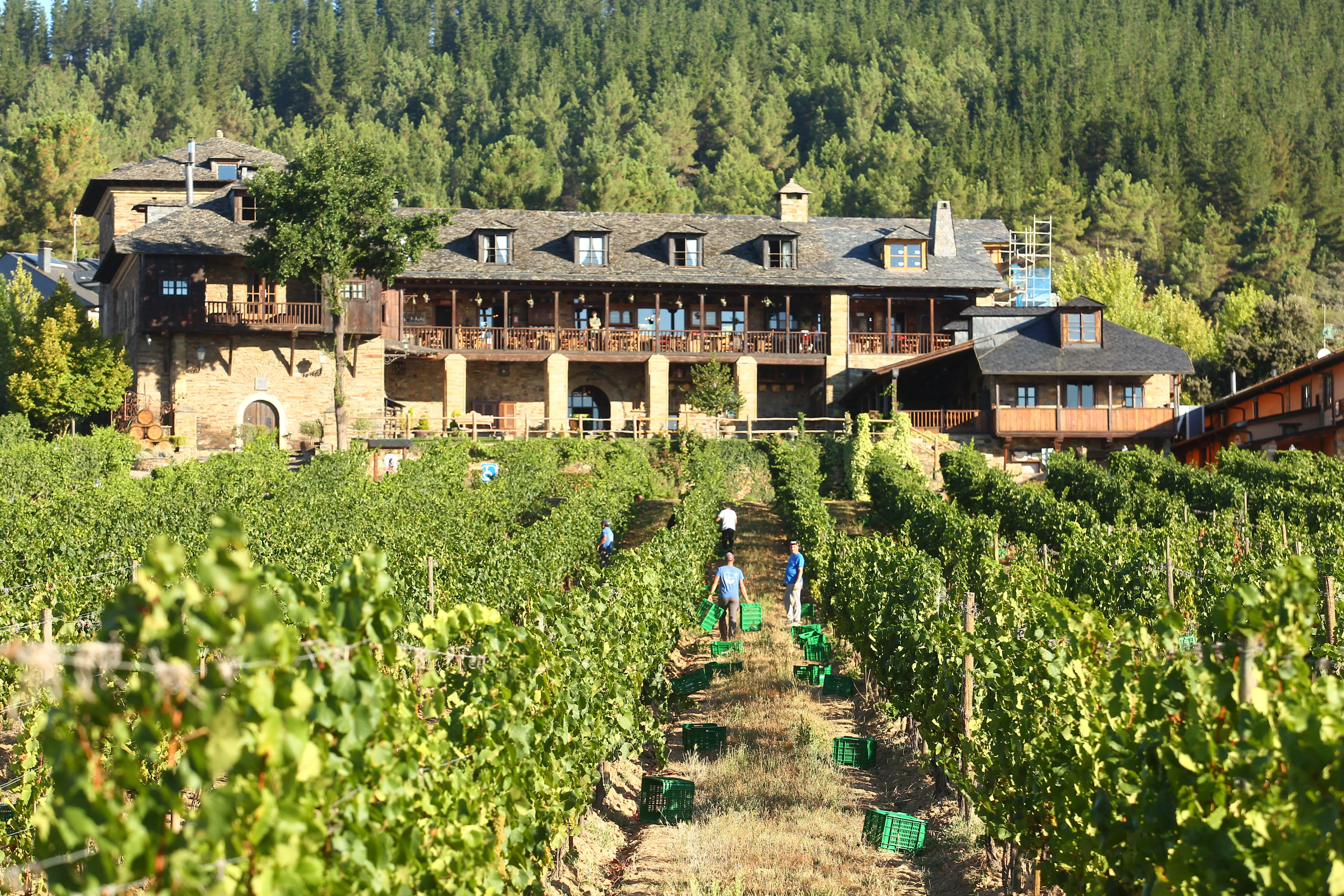 Vendimia en el Palacio de Canedo, Prada a Tope
