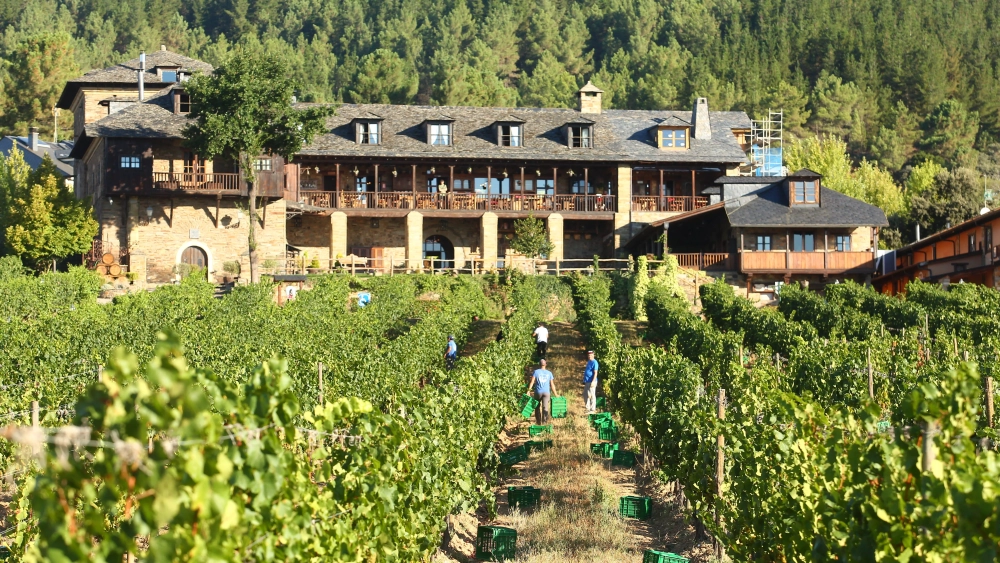 Vendimia en el Palacio de Canedo, Prada a Tope