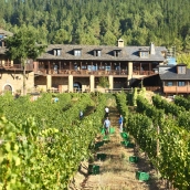 Vendimia en el Palacio de Canedo, Prada a Tope
