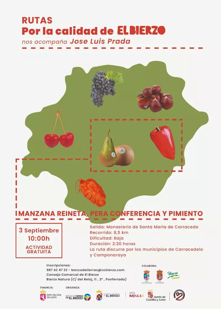 WhatsApp Image 2023 08 24 at 17.20.50