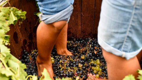 Ofrenda primer mosto de la vendimia 2023