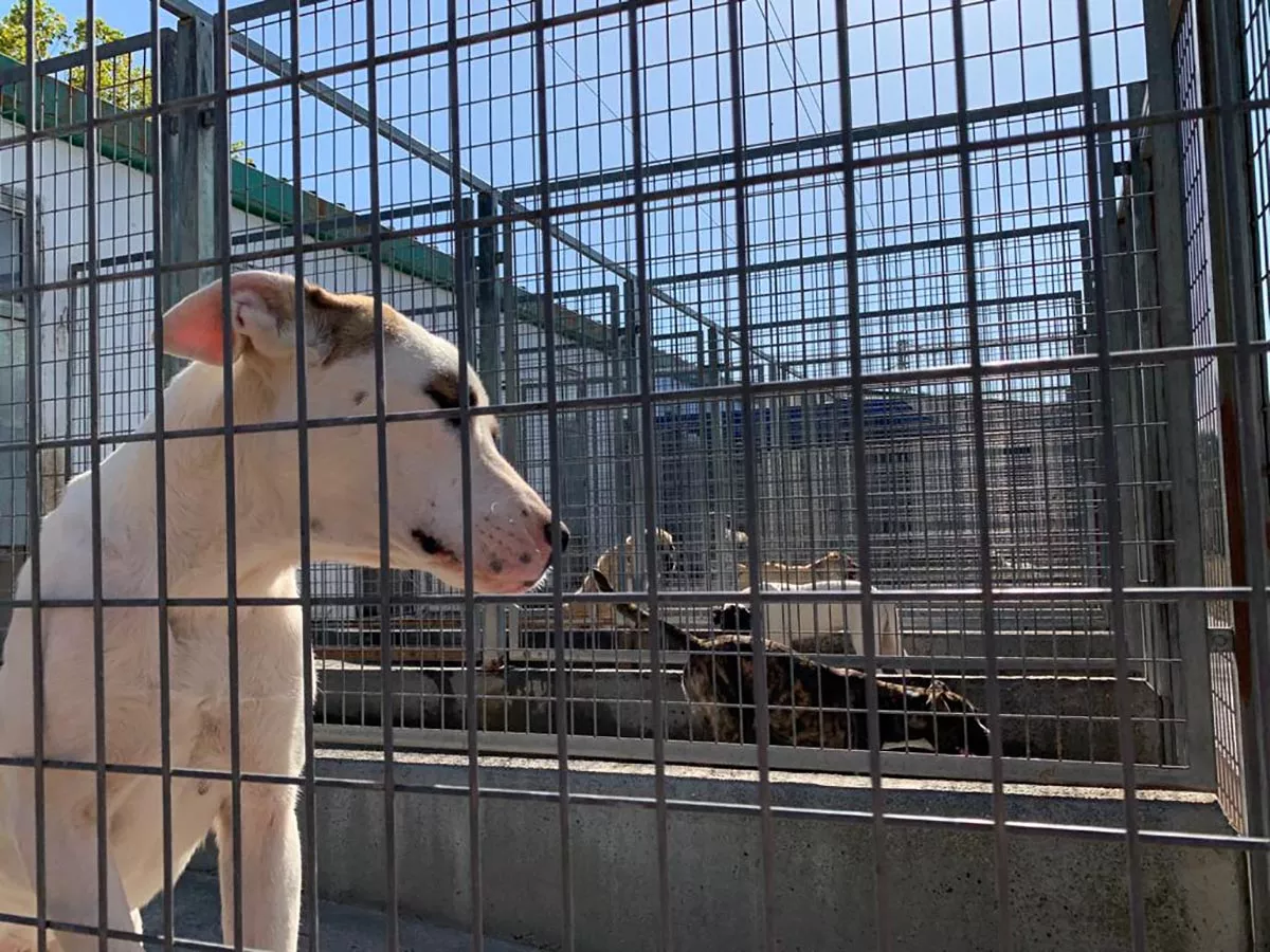 albergue municipal ponferrada