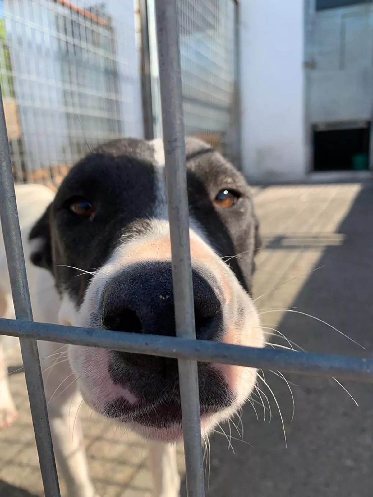 albergue municipal ponferrada 3
