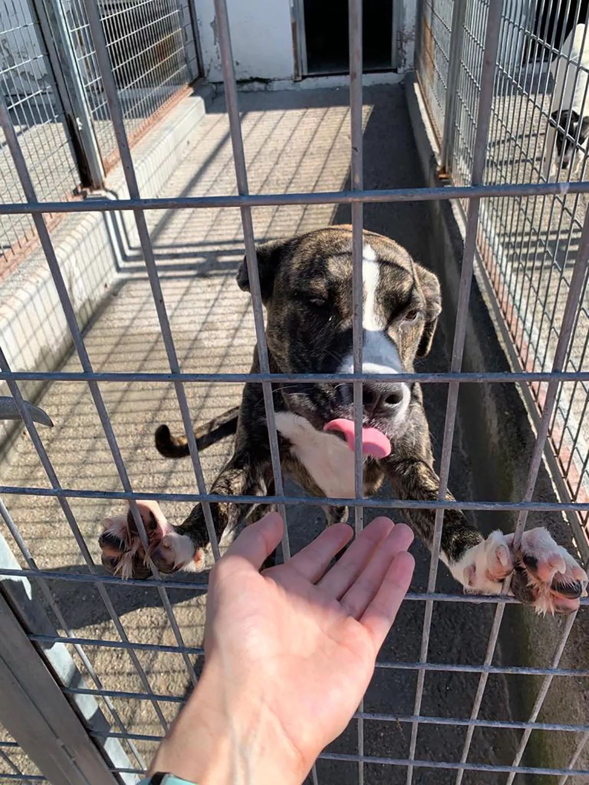 albergue municipal ponferrada 4