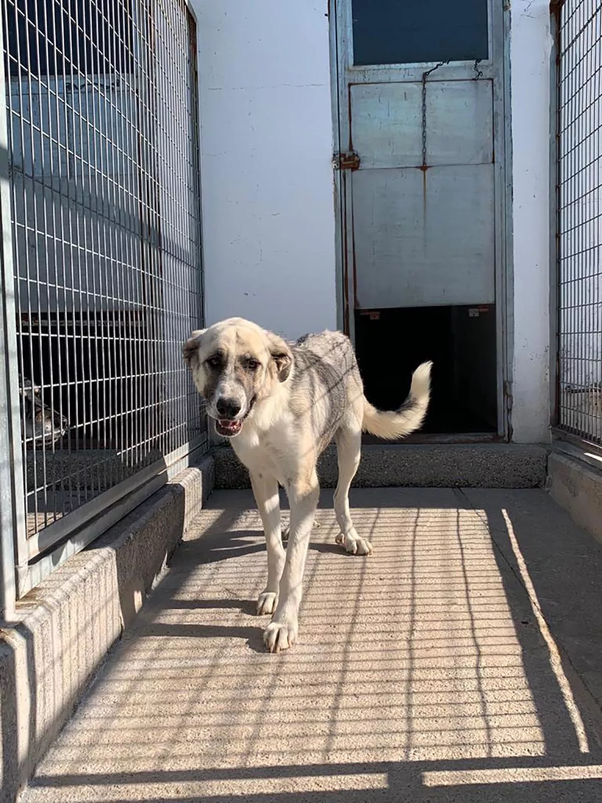 albergue municipal ponferrada 6