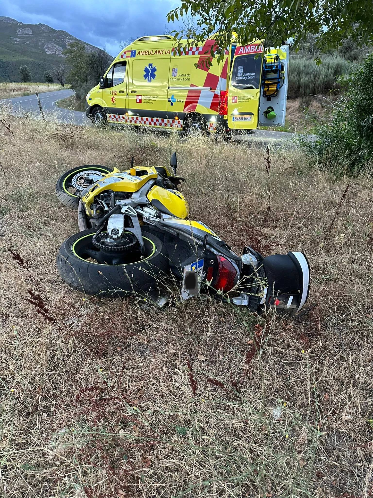 WhatsApp Image 2023 08 29 at 18.37.12