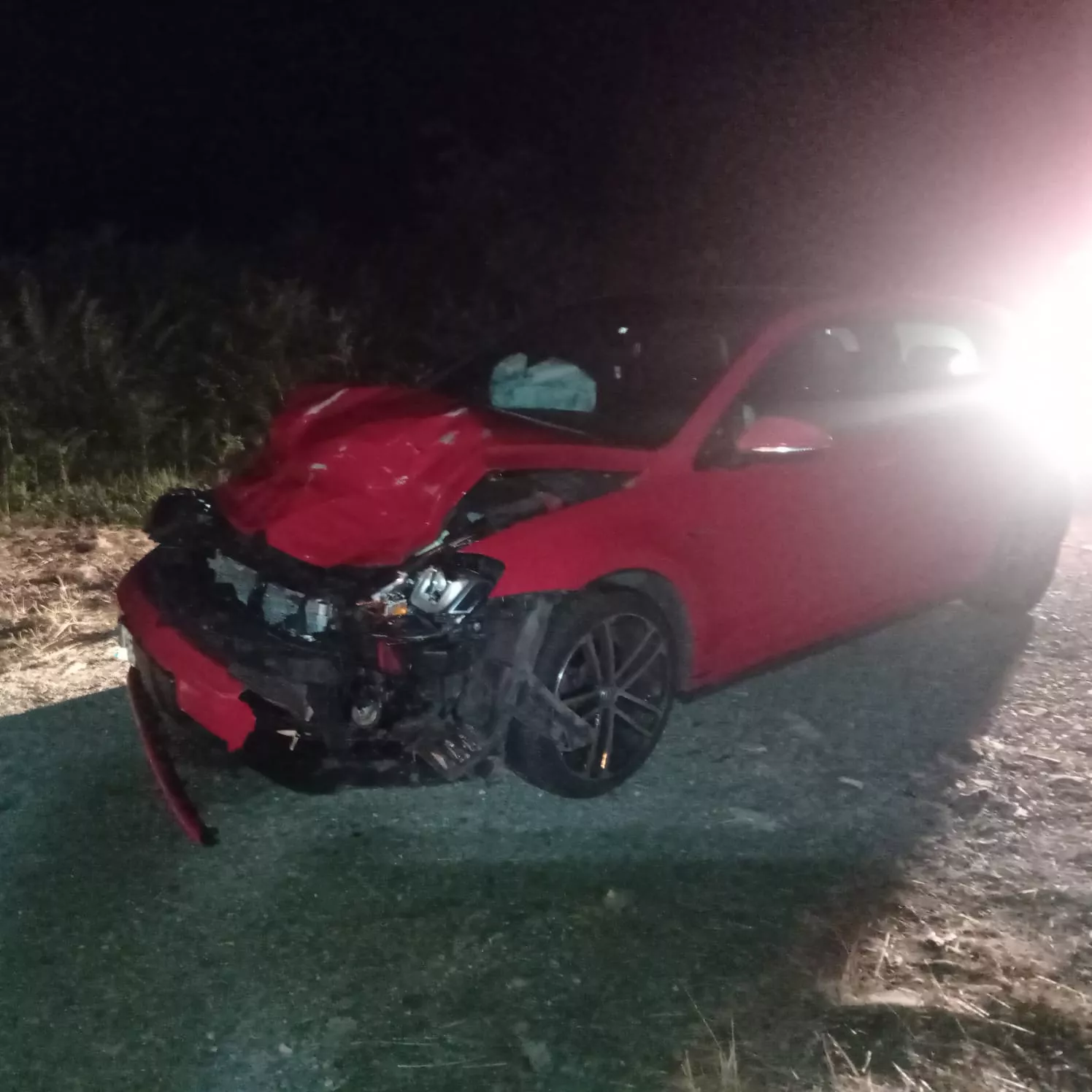 Oso atropellado límite entre Asturias, El Bierzo y Laciana (2) Oso atropellado límite entre Asturias, El Bierzo y Laciana (2)