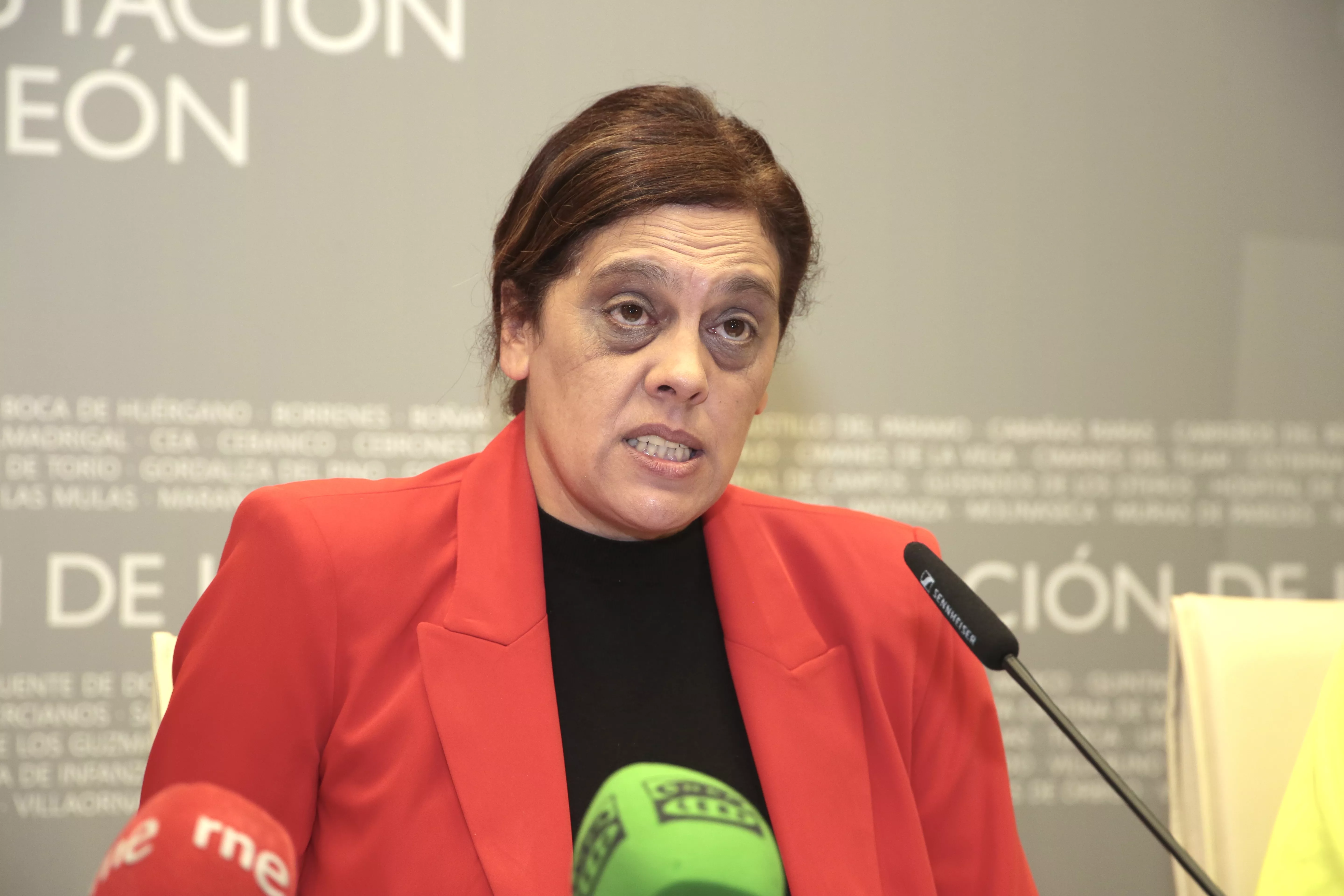 La consejera comarcal de Relaciones Institucionales, Susana Folla La consejera comarcal de Relaciones Institucionales, Susana Folla