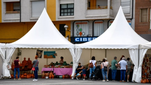 feria de la ceramica (88)