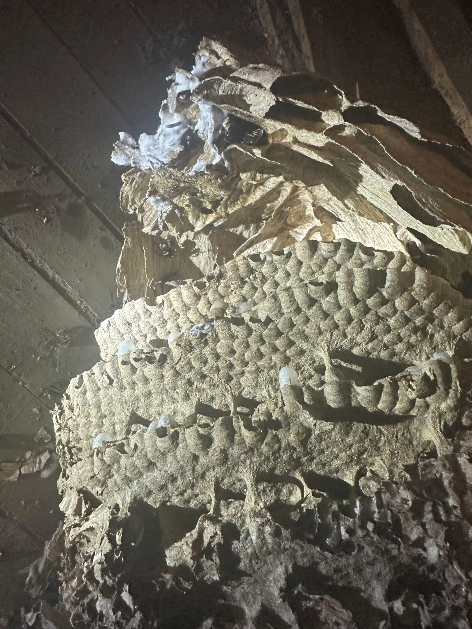 376617866 725220422965834 3629012981164614730 n (1)