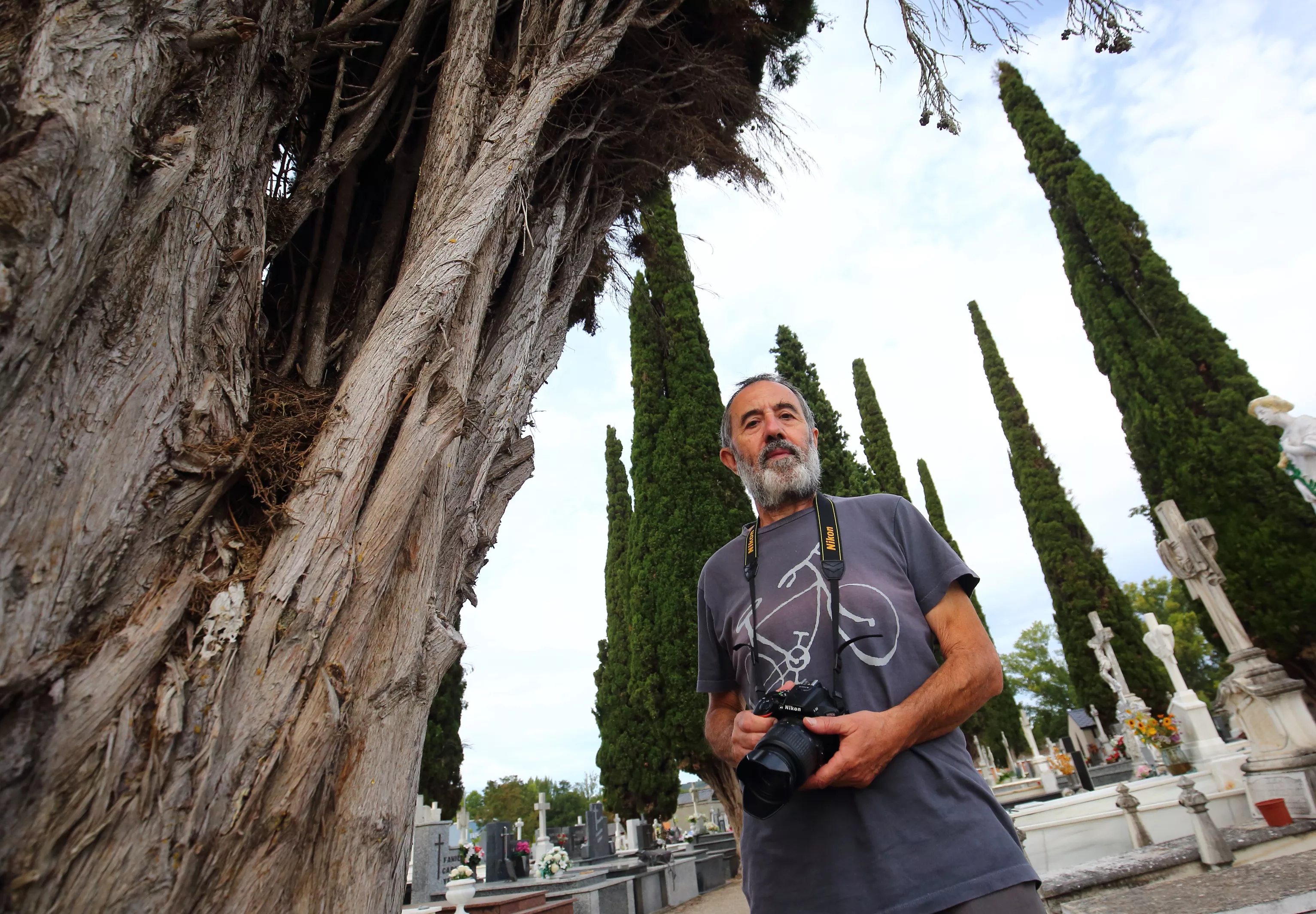 El fotógrafo cacabelense que fotografía la piel de los árboles del Bierzo