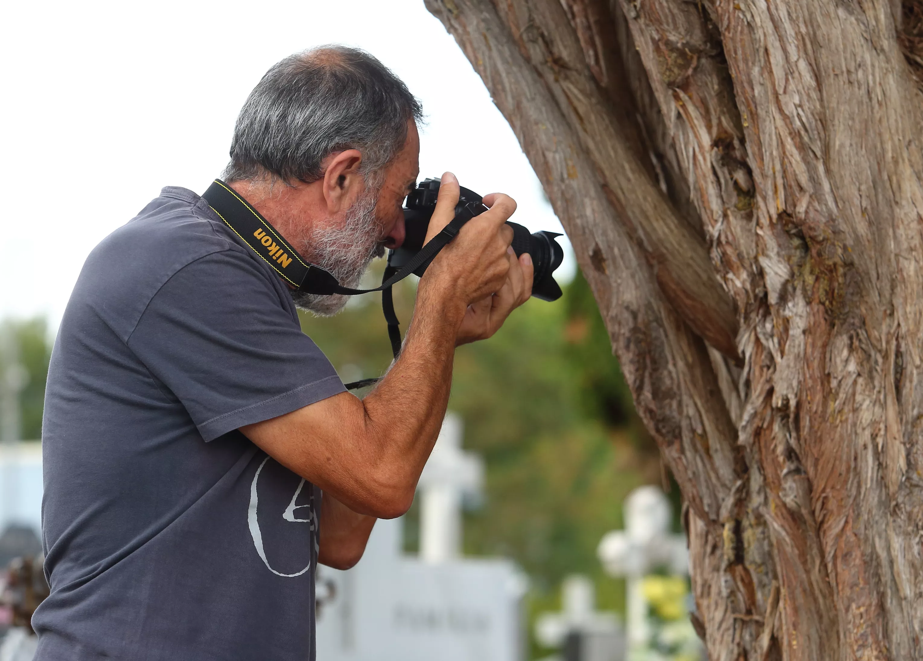 El fotógrafo cacabelense que fotografía la piel de los árboles del Bierzo