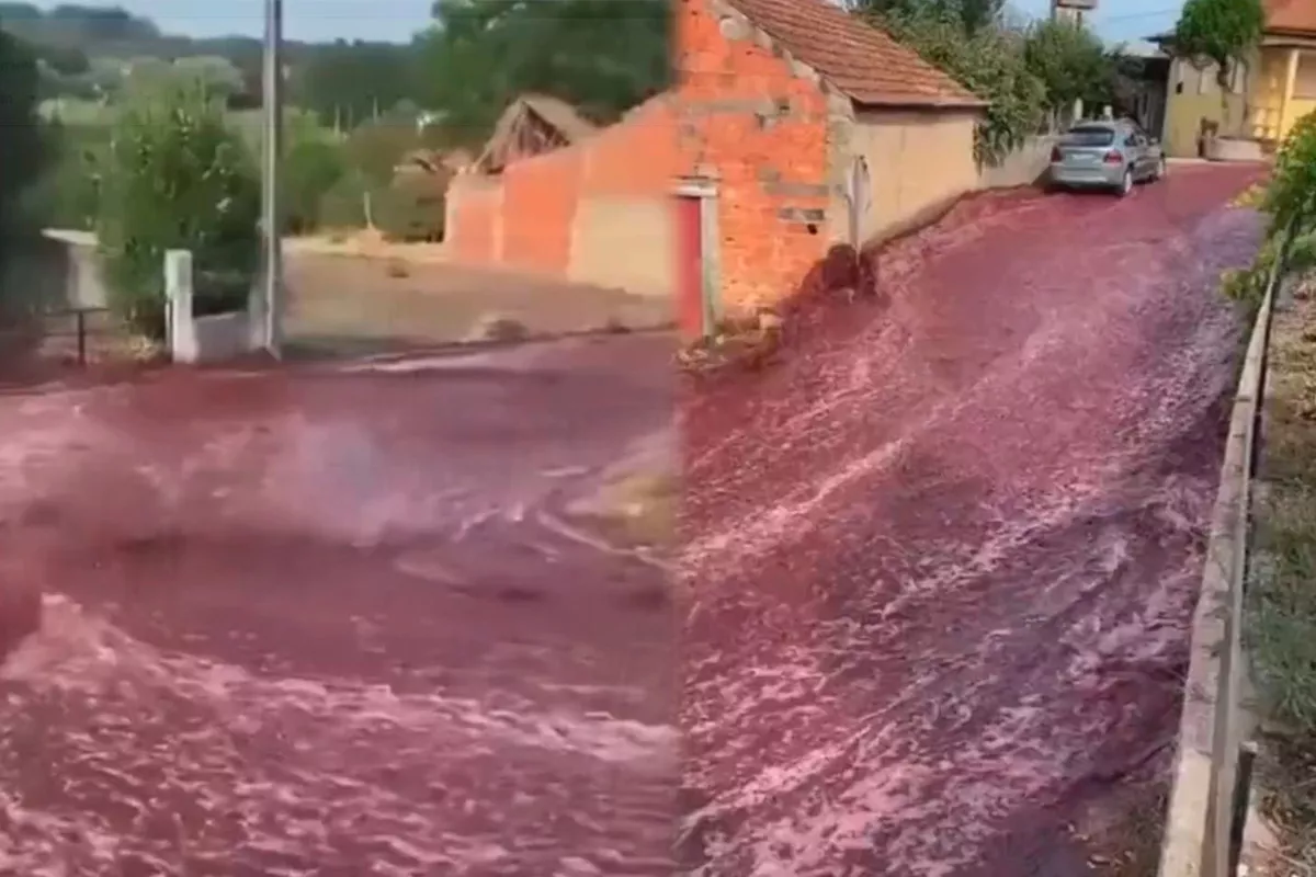 La calle de un pueblo de Portugal inundad de vino tinto