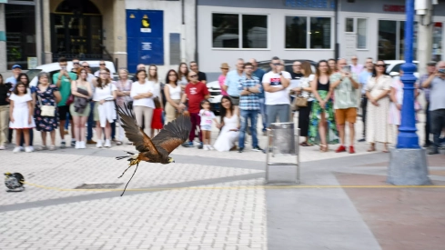 Cetrería en Bembibre (33)