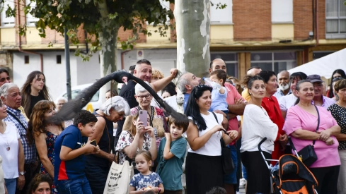 Cetrería en Bembibre (39)