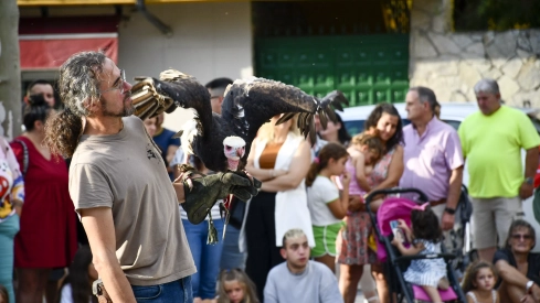 Cetrería en Bembibre (49)