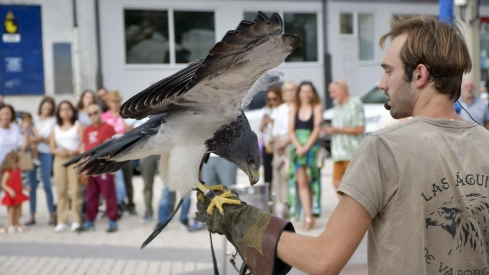Cetrería en Bembibre (15)